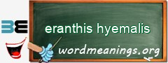 WordMeaning blackboard for eranthis hyemalis